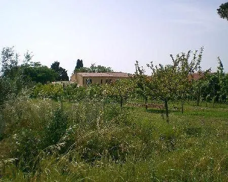 No, 1 Apartman Cecina